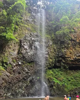 Kayaks loaded on top of rental car with soft foam racks